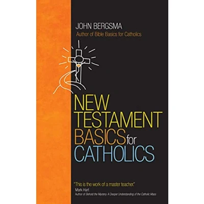 Afbeelding van New Testament Basics for Catholics
