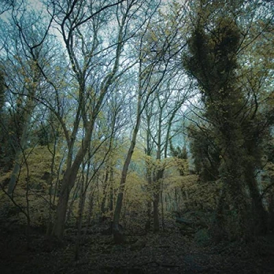 Afbeelding van Worriedaboutsatan Time Lapse (CD)
