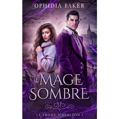 Afbeelding van Le mage sombre, Trône d&#039;Avallon tome 1