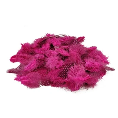 Afbeelding van Netuno 150 roze decoratieve vogel veren 6g parelhoen gestippelde natuur voor DIY Craft pasen kerst figuur maskers bruiloftsfeesten