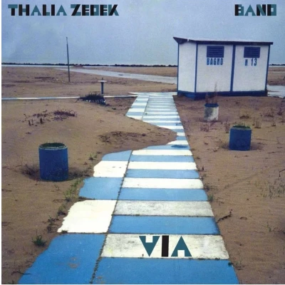 Afbeelding van Thalia Zedek Band Via (CD)