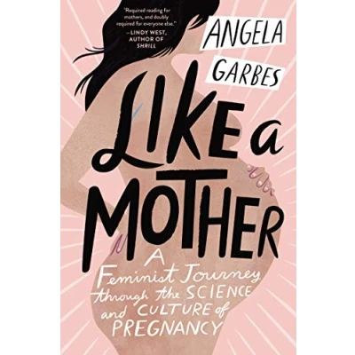 Afbeelding van Like A Mother Feminist Journey Through the Science and Culture of Pregnancy