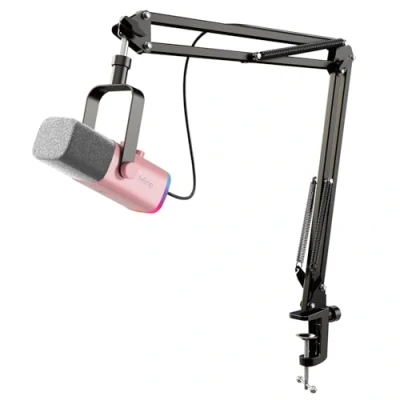 Afbeelding van FIFINE XLR Streaming Microfoon met Arm voor Podcast Studio Mixer Geluidskaarten, Gaming Microphone USB PS4/5 Mac, Dynamische Mute Knop