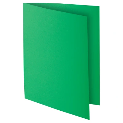 Afbeelding van Exacompta ref. 210004E Set van 100 felgekleurde dossiermappen ROCK&#039;&#039;S 210 g/m2 in PEFC™ certified folders Afmetingen: 24 x 32 cm for A4 format fir colour