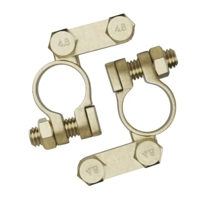 Afbeelding van L &amp; P Car Design A0066 2 stuks accuklemmen voor de auto, accuklemmen, en plus minuscu, aansluitklemmen 12 V 24 batterijen