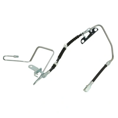 Afbeelding van Remslang DELPHI LH6924