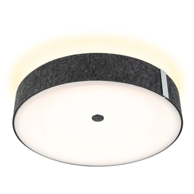 Afbeelding van Paulmann 79994 Malika LED plafondlamp 26 W Antraciet