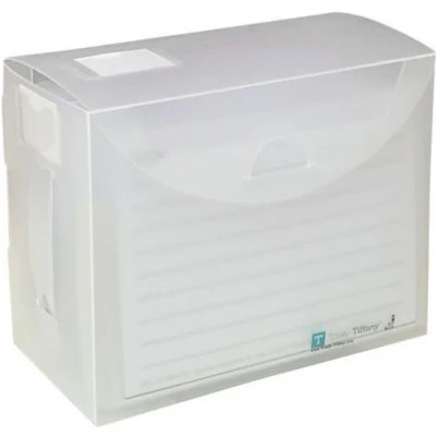 Afbeelding van 4X6 Fab File Box met folders
