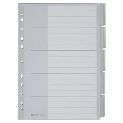 Afbeelding van Leitz plastic register (Blanco, A4, PP, 5 vellen) grijs