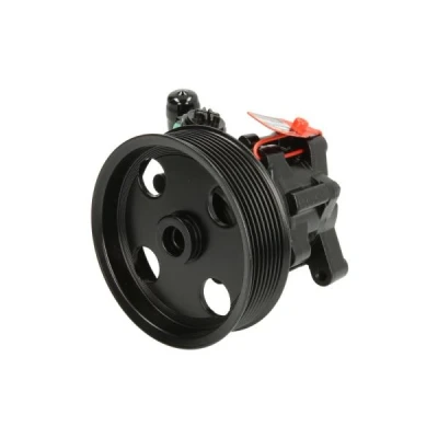 Afbeelding van Lauber Servopomp 55.4304