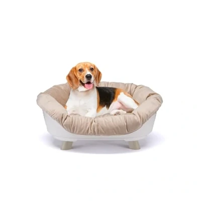 Afbeelding van Ferplast hondenbed &amp; kattenbed met kussen, wasbaar, verhoogd hondenbed, kunststof klein, hondenmand en kattenmand, ademend antislip, SOFA&#039; THRONE 73 x 55 h 32 cm, wit