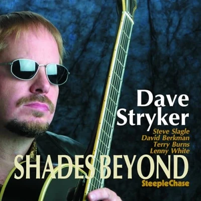 Afbeelding van Dave Stryker Shades Beyond (CD)