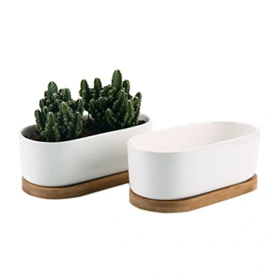 Afbeelding van T4U 17CM Succulente Plantenpot Set van 2, Ovaal Keramiek Vetplant Bloempot met Bamboe Onderzetter, Binnen Klein Cactus Pot Afvoergat Wit voor Sappige Aloë Kruid Kamerplant Decoratieve Geschenk