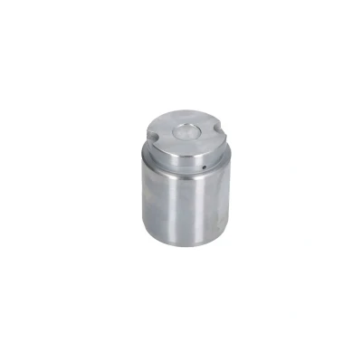 Afbeelding van Zuiger, remklauw AUTOFREN SEINSA D025545