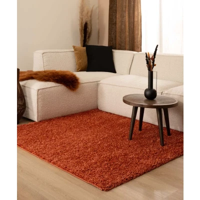 Afbeelding van Hoogpolig Tapijt/Vloerkleed Shaggy Trend Effen Terracotta 160x160 Cm