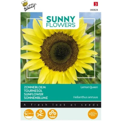 Afbeelding van Sunny Helianthus, Zonnebloem Lemon Queen