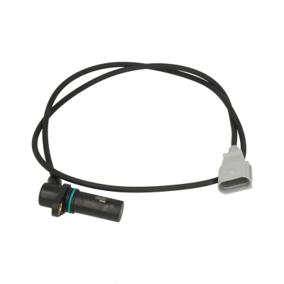 Afbeelding van Krukassensor DELPHI SS11067