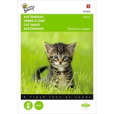 Afbeelding van Kattengras zaden Gerst