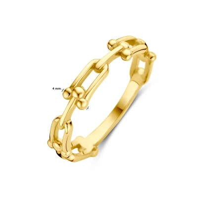 Afbeelding van 14K Geelgoud Ring Schakel 4031611