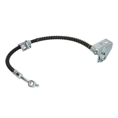 Afbeelding van Delphi Diesel Remslang LH7397