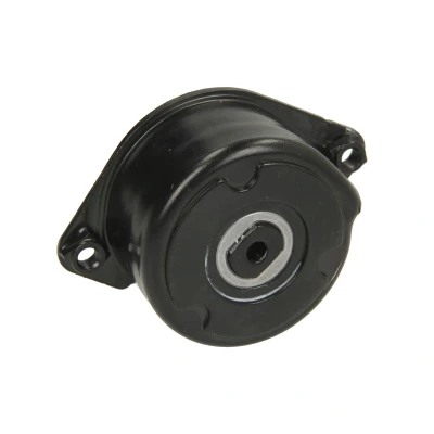 Afbeelding van Riemspanner, Poly V riem INA 534 0171 10