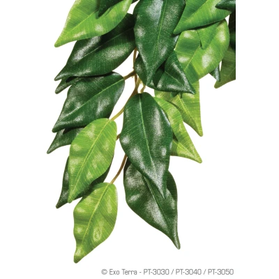 Afbeelding van Exo Terra Rainforest Plant Ficus Kunstplanten Small