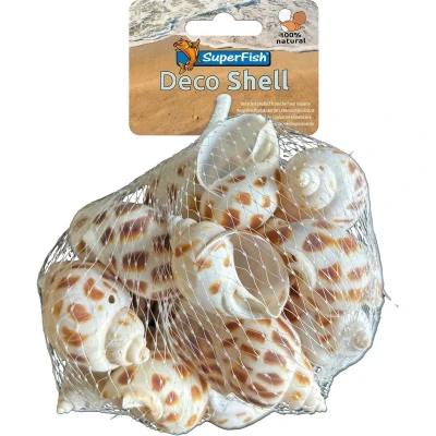 Afbeelding van Superfish Decoratie schelpen Gestreept XL Heremietkreeft Huis