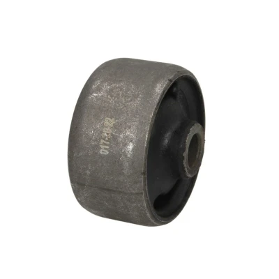 Afbeelding van Delphi Diesel Draagarm / reactiearm lager TD1904W