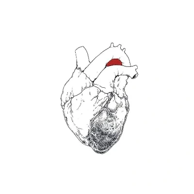 Afbeelding van Swans The Beggar (2 CD)