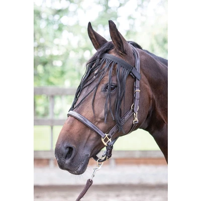 Afbeelding van Harry&#039;s Horse Vliegenfrontriem Cob Zwart