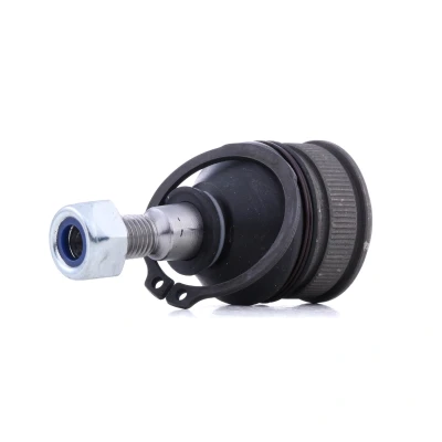 Afbeelding van Delphi Diesel Fuseekogel TC254