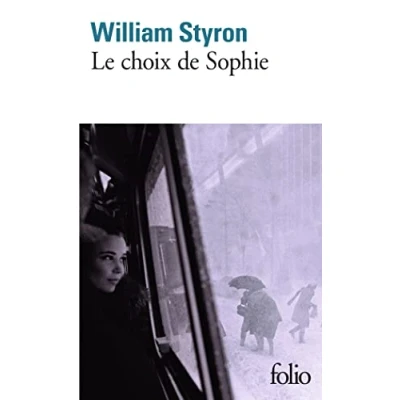Afbeelding van Le choix de Sophie: A39345