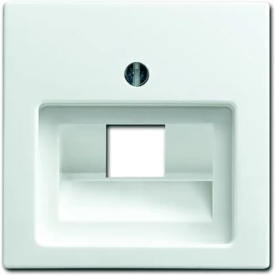 Afbeelding van Busch Jaeger Balance SI centraalplaat voor datadoos 1 x RJ45 1803 914