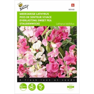 Afbeelding van Lathyrus, Sier of Reukerwt meerjarig