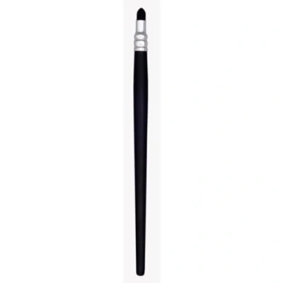 Afbeelding van ZAHN Pinsel E10710 33 Penselen set 4 delig