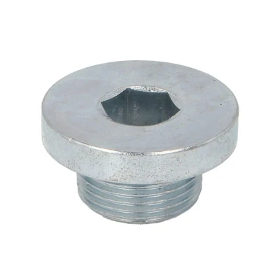 Afbeelding van Elring Olie aftapplug / carterplug 094.100