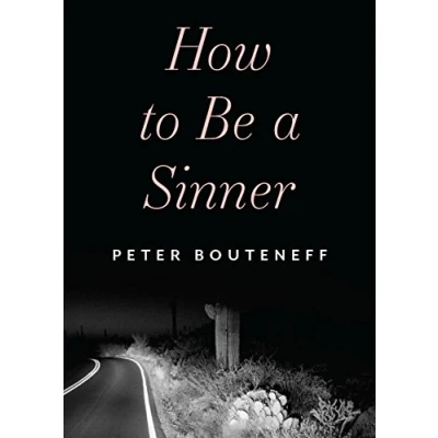 Afbeelding van How to Be a Sinner