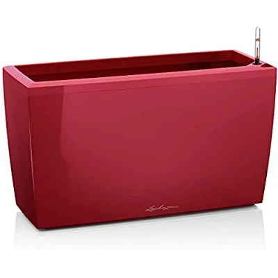 Afbeelding van Lechuza Cararo premium Scharlakenrood hoogglans