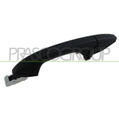 Afbeelding van Portiergreep buitenkant PRASCO HD8288104