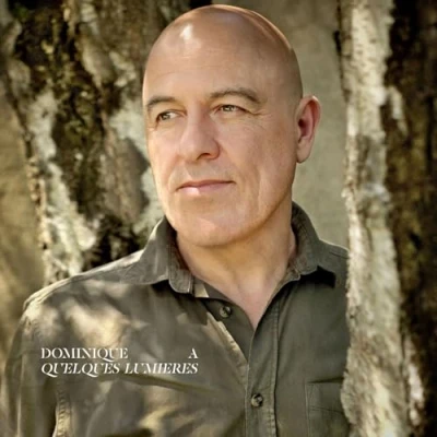 Afbeelding van Dominique A Quelques Lumières (3 LP)