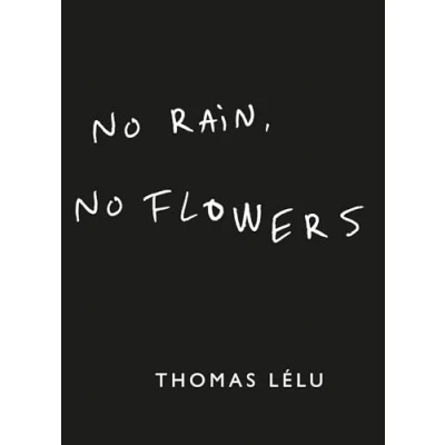 Afbeelding van No Rain, Flowers