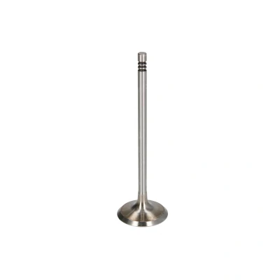 Afbeelding van Inlaatklep FRECCIA R6948/S