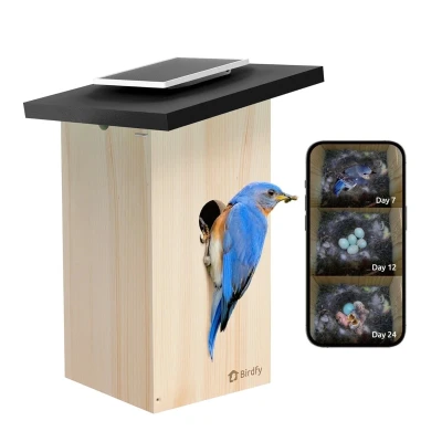Afbeelding van Birdfy Birdhouse Ebony Lite Smart Solar Powered with Camera and AI Bird Recognition EPPAMBNI8802110