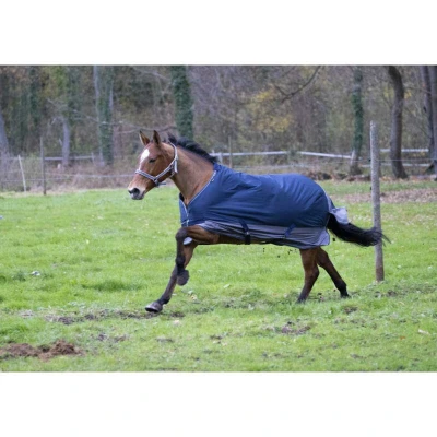 Afbeelding van EQUITHÈME Turnout Rug Tyrex 600D 0g Navy/Grijs 95/130