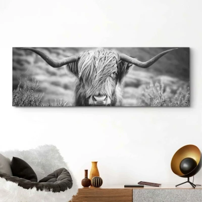 Afbeelding van Reinders! Artprint Highlander stier diermotief close up Schotse hooglander beeld