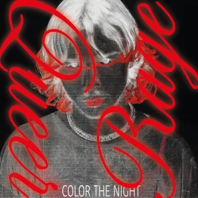 Afbeelding van Color The Night Queer Rage (CD)