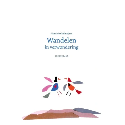 Afbeelding van Wandelen in verwondering (Hardback)