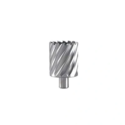 Afbeelding van Hikoki Accessoires Kernboor 91X55 Mm 754580