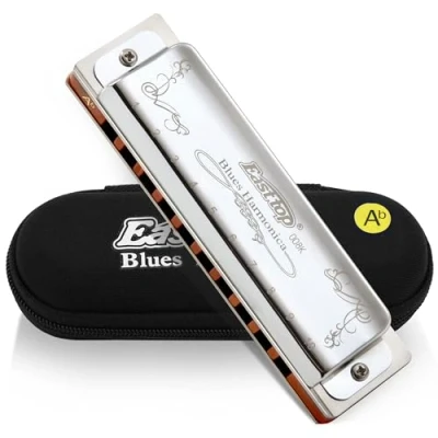 Afbeelding van East top Diatonische mondharmonica sleutel van Ab, Blues Harp Mondorgel 10 Gaten 008K met zilveren deksel, Mondharmonica&#039;s voor volwassenen, professionals, beginners en studenten