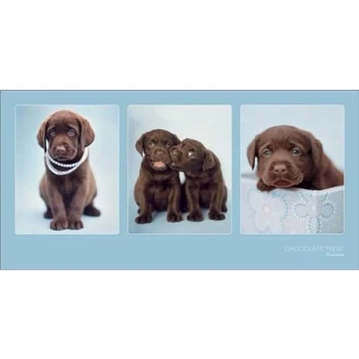 Afbeelding van Kunstdruk Rachael Hale Chocolate Treat 100x50cm